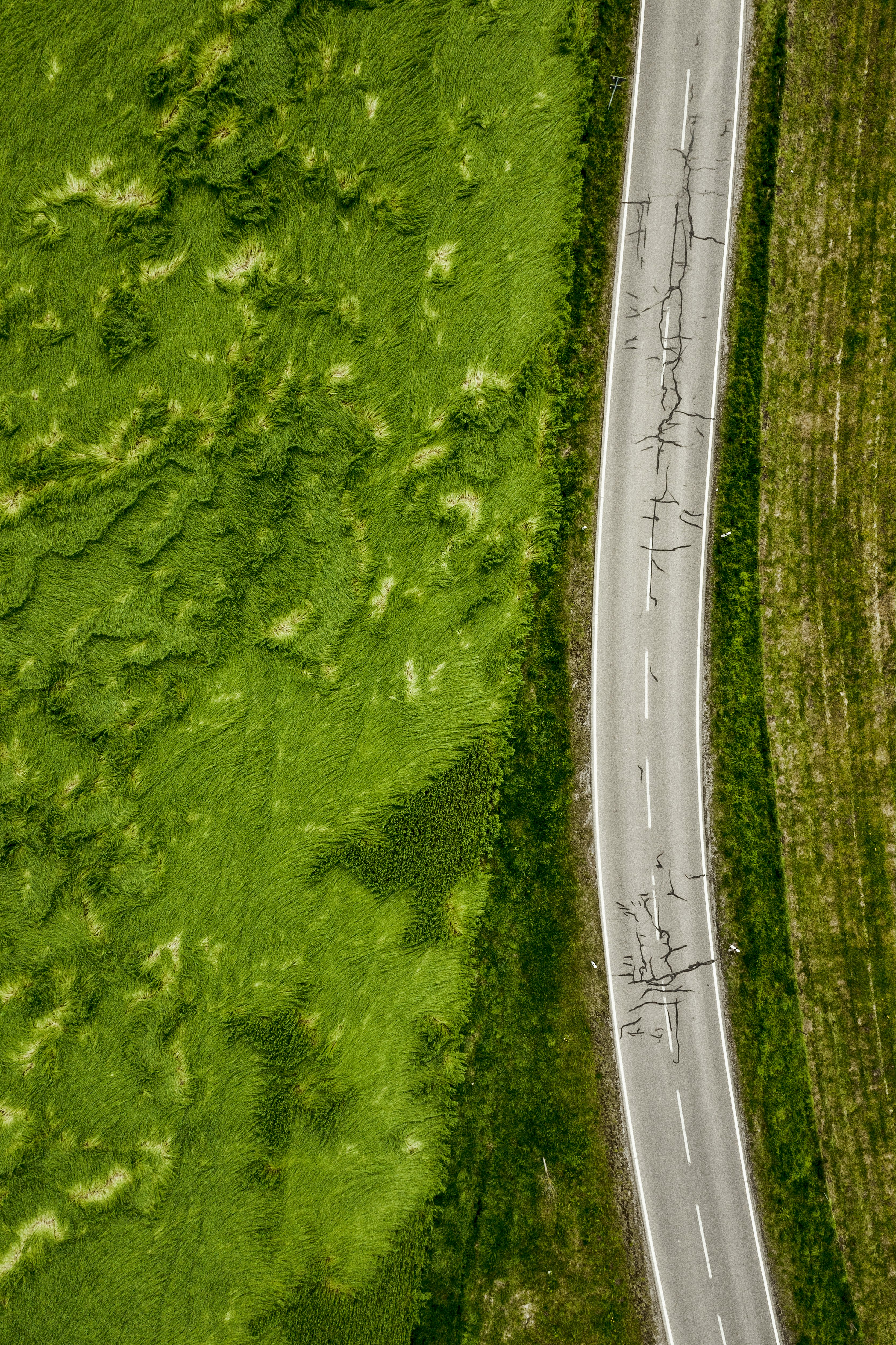 aerial photo of empty concrete road between plants